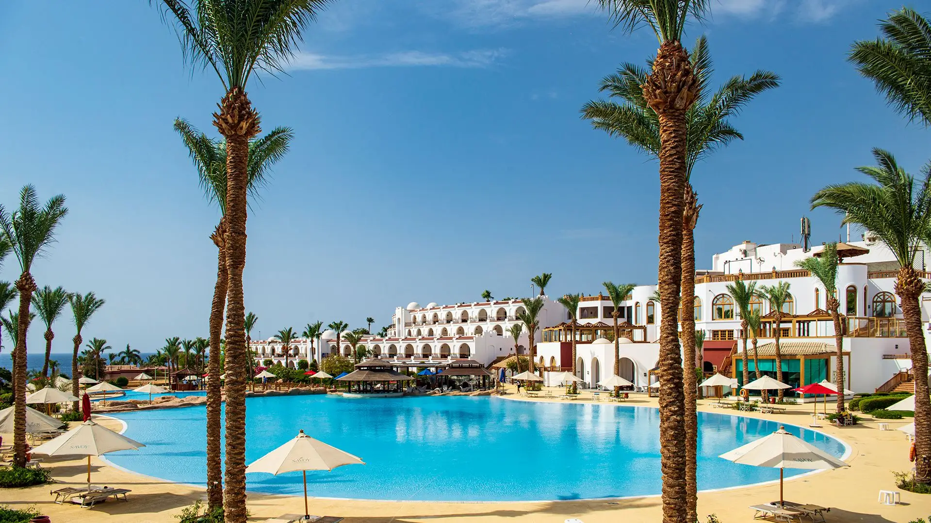 7bb7e3545f0977a83c7c8636ad366d9a