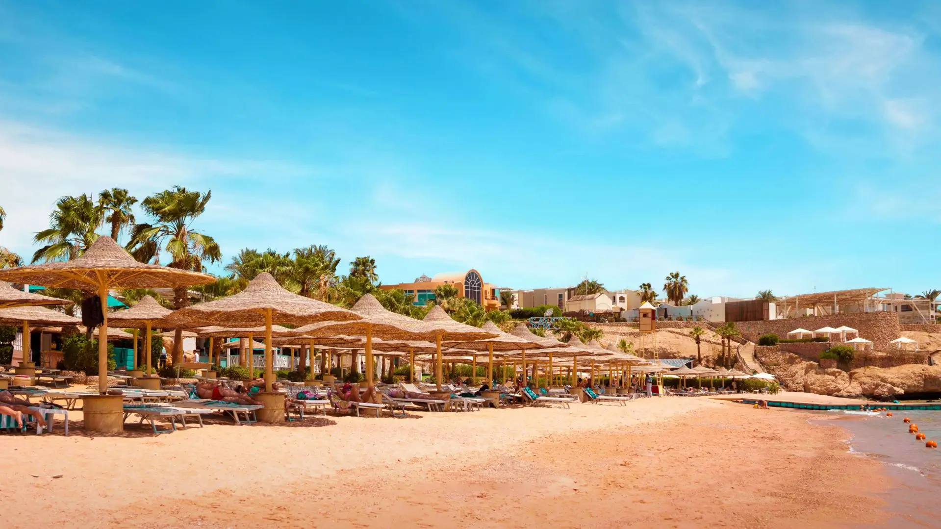 d995c00cb536f667476676972cf190a7